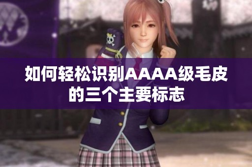 如何轻松识别AAAA级毛皮的三个主要标志