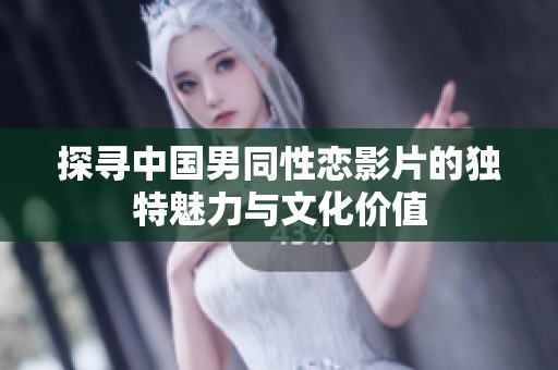 探寻中国男同性恋影片的独特魅力与文化价值