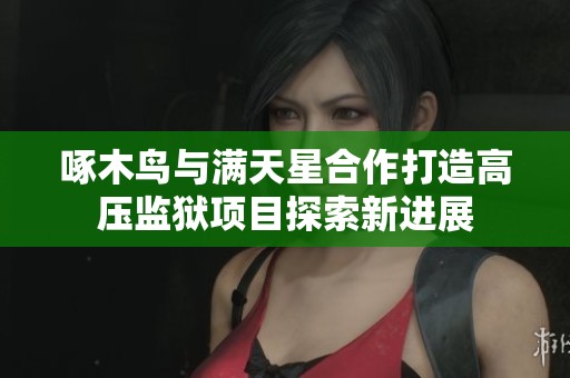 啄木鸟与满天星合作打造高压监狱项目探索新进展
