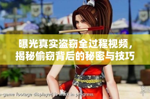 曝光真实盗窃全过程视频，揭秘偷窃背后的秘密与技巧