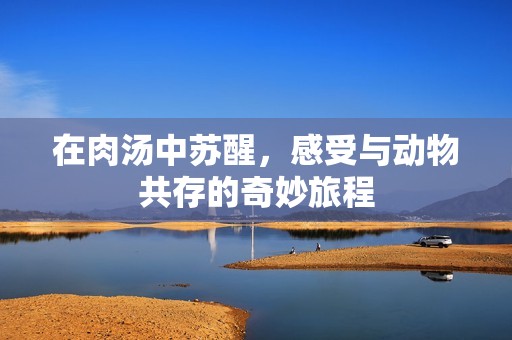 在肉汤中苏醒，感受与动物共存的奇妙旅程
