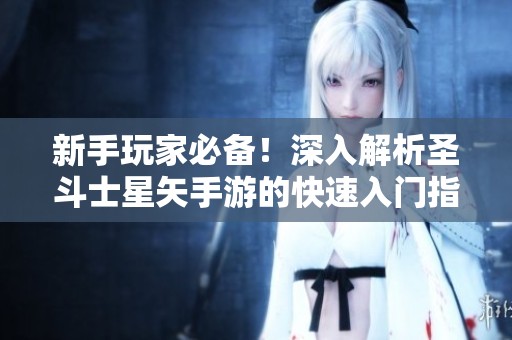 新手玩家必备！深入解析圣斗士星矢手游的快速入门指南