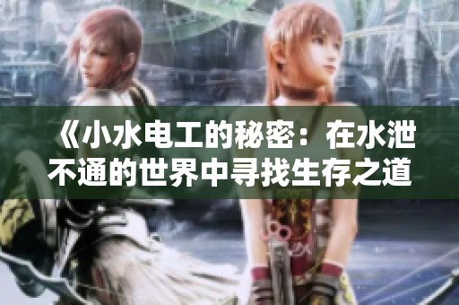 《小水电工的秘密：在水泄不通的世界中寻找生存之道》