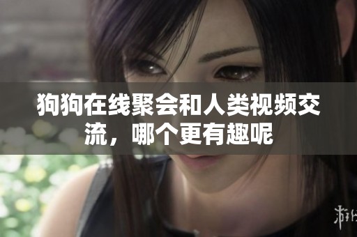 狗狗在线聚会和人类视频交流，哪个更有趣呢