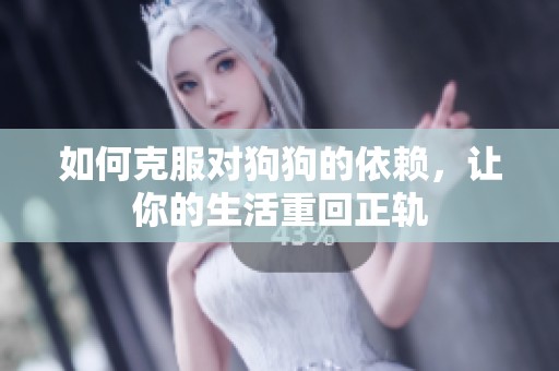 如何克服对狗狗的依赖，让你的生活重回正轨