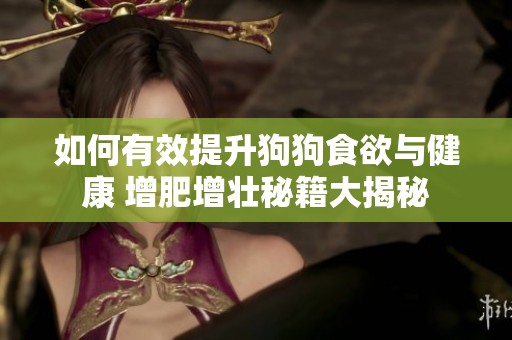 如何有效提升狗狗食欲与健康 增肥增壮秘籍大揭秘