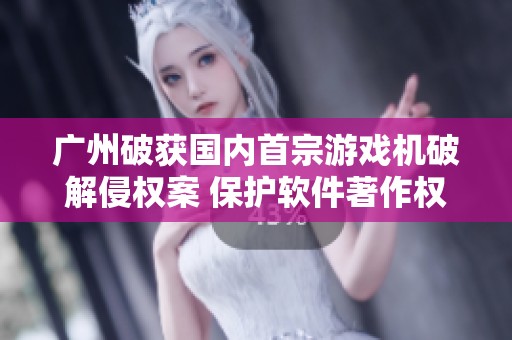 广州破获国内首宗游戏机破解侵权案 保护软件著作权新进展