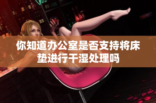 你知道办公室是否支持将床垫进行干湿处理吗