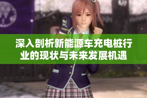 深入剖析新能源车充电桩行业的现状与未来发展机遇