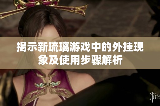 揭示新琉璃游戏中的外挂现象及使用步骤解析