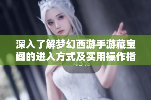 深入了解梦幻西游手游藏宝阁的进入方式及实用操作指南
