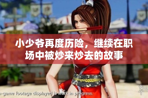 小少爷再度历险，继续在职场中被炒来炒去的故事