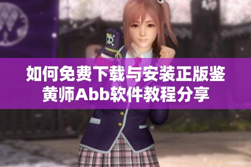 如何免费下载与安装正版鉴黄师Abb软件教程分享