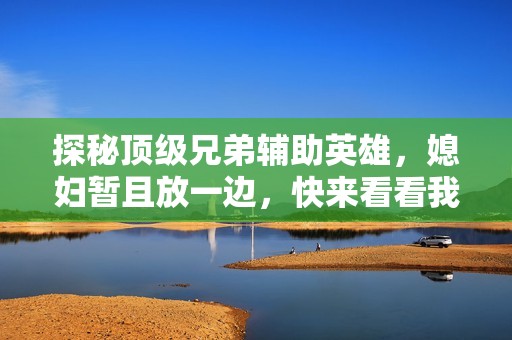 探秘顶级兄弟辅助英雄，媳妇暂且放一边，快来看看我的战绩！