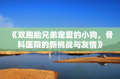 《双胞胎兄弟宠爱的小狗，骨科医院的新挑战与友情》