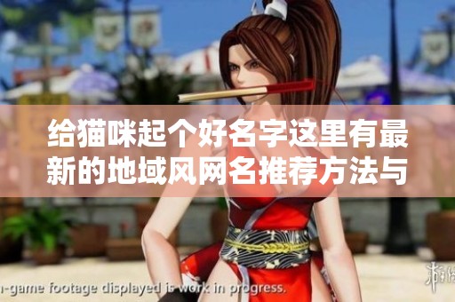 给猫咪起个好名字这里有最新的地域风网名推荐方法与技巧