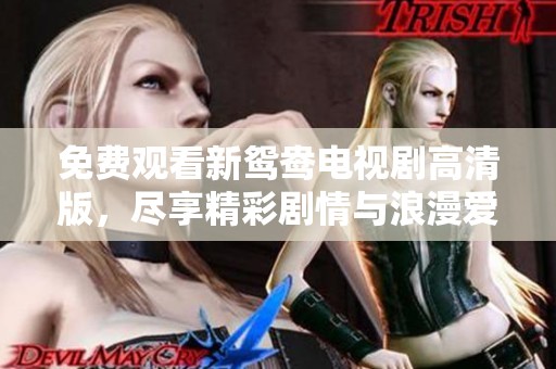 免费观看新鸳鸯电视剧高清版，尽享精彩剧情与浪漫爱情