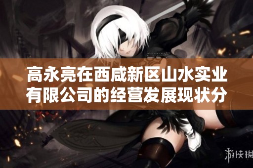高永亮在西咸新区山水实业有限公司的经营发展现状分析