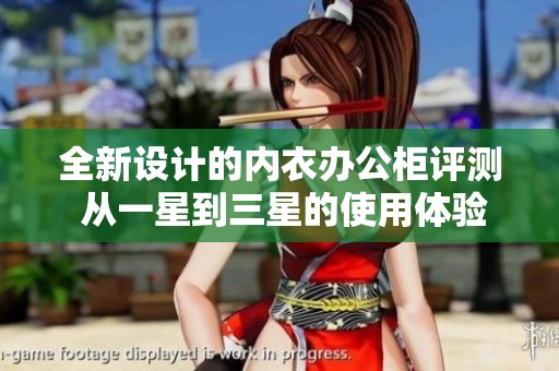 全新设计的内衣办公柜评测 从一星到三星的使用体验分享
