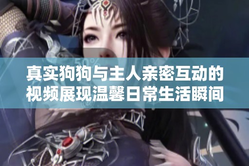 真实狗狗与主人亲密互动的视频展现温馨日常生活瞬间