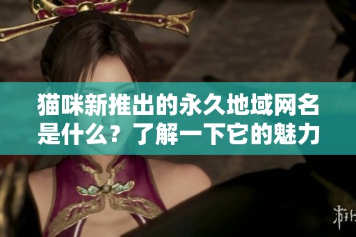 猫咪新推出的永久地域网名是什么？了解一下它的魅力与含义