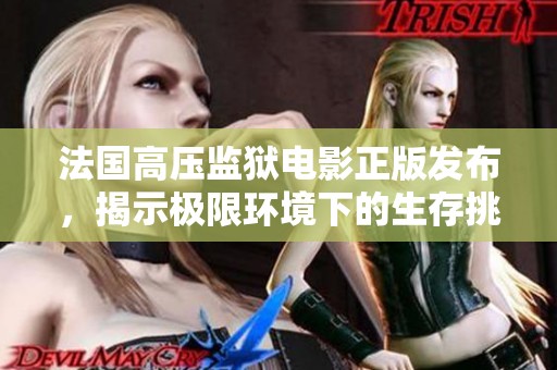 法国高压监狱电影正版发布，揭示极限环境下的生存挑战与心理战斗