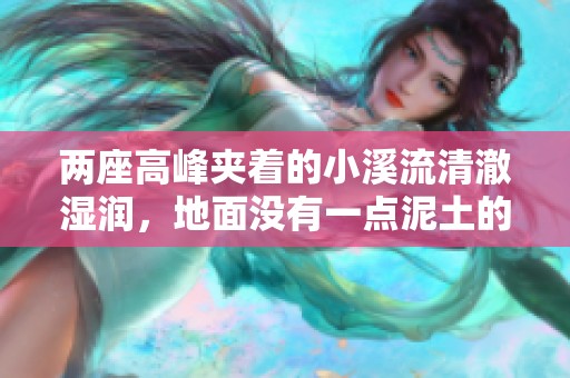 两座高峰夹着的小溪流清澈湿润，地面没有一点泥土的奇特景象