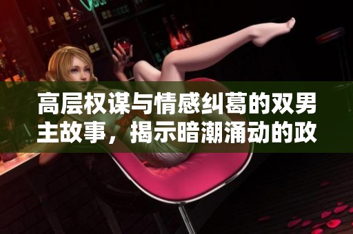 高层权谋与情感纠葛的双男主故事，揭示暗潮涌动的政商博弈与爱恨交织