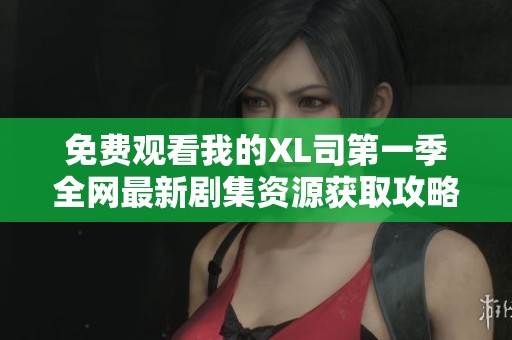 免费观看我的XL司第一季全网最新剧集资源获取攻略