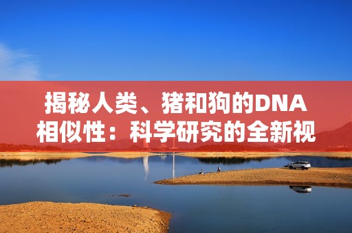 揭秘人类、猪和狗的DNA相似性：科学研究的全新视角与发现