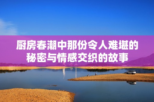 厨房春潮中那份令人难堪的秘密与情感交织的故事