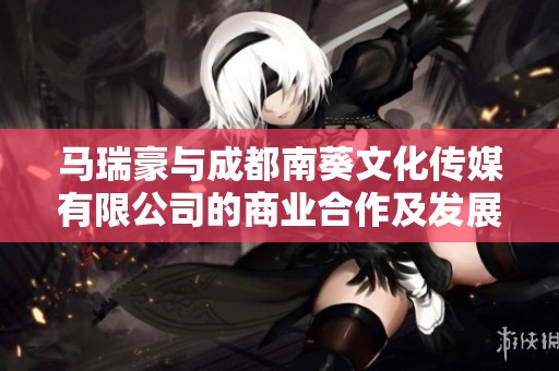 马瑞豪与成都南葵文化传媒有限公司的商业合作及发展前景分析