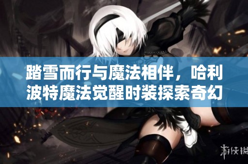踏雪而行与魔法相伴，哈利波特魔法觉醒时装探索奇幻之旅