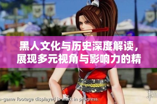 黑人文化与历史深度解读，展现多元视角与影响力的精彩旅程
