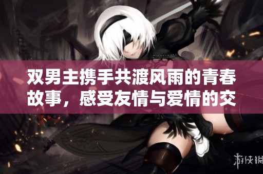 双男主携手共渡风雨的青春故事，感受友情与爱情的交织魅力