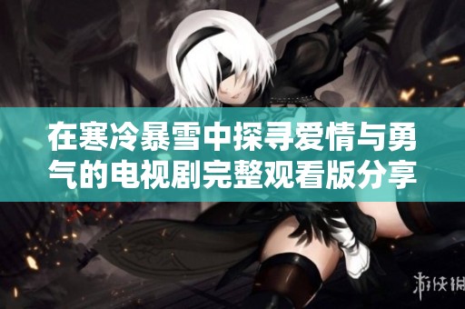 在寒冷暴雪中探寻爱情与勇气的电视剧完整观看版分享