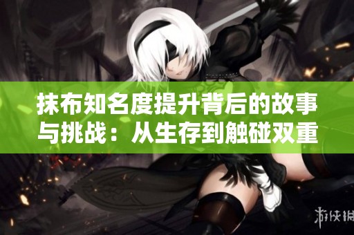 抹布知名度提升背后的故事与挑战：从生存到触碰双重身份的探索