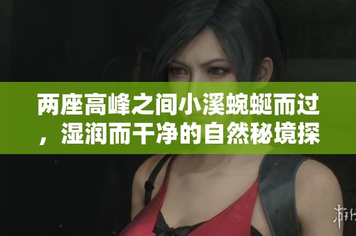两座高峰之间小溪蜿蜒而过，湿润而干净的自然秘境探秘之旅