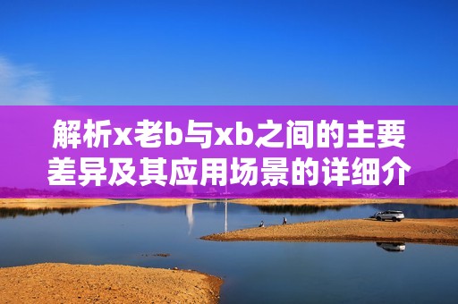 解析x老b与xb之间的主要差异及其应用场景的详细介绍