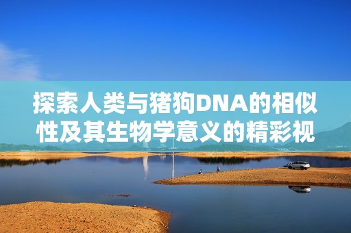 探索人类与猪狗DNA的相似性及其生物学意义的精彩视频解析