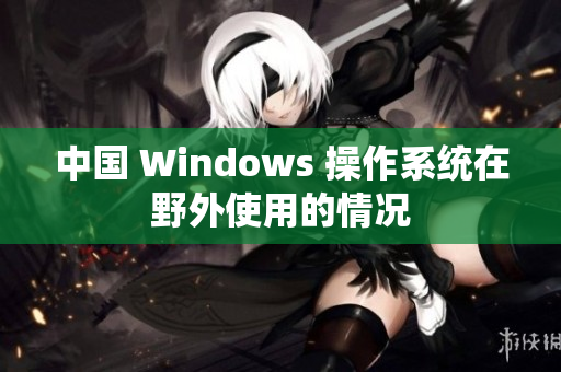 中国 Windows 操作系统在野外使用的情况