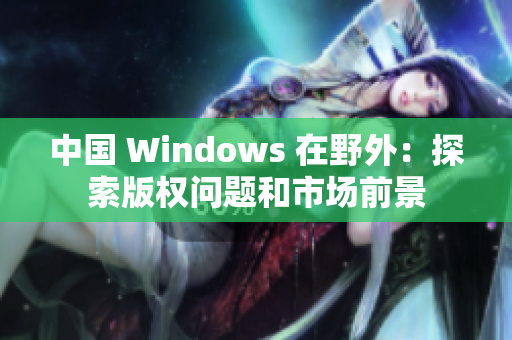 中国 Windows 在野外：探索版权问题和市场前景