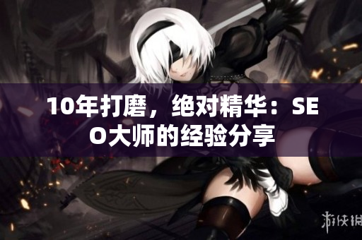 10年打磨，绝对精华：SEO大师的经验分享