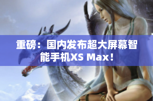 重磅：国内发布超大屏幕智能手机XS Max！