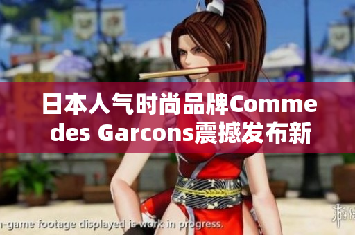 日本人气时尚品牌Comme des Garcons震撼发布新品！