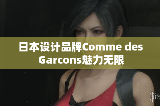 日本设计品牌Comme des Garcons魅力无限