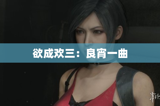 欲成欢三：良宵一曲