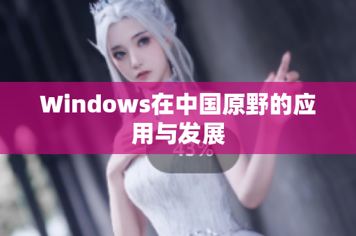 Windows在中国原野的应用与发展
