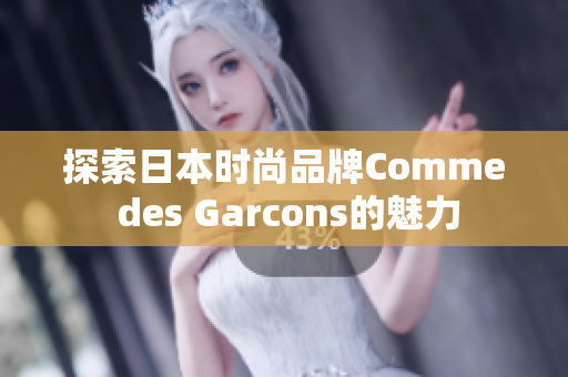 探索日本时尚品牌Comme des Garcons的魅力