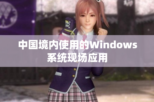 中国境内使用的Windows系统现场应用